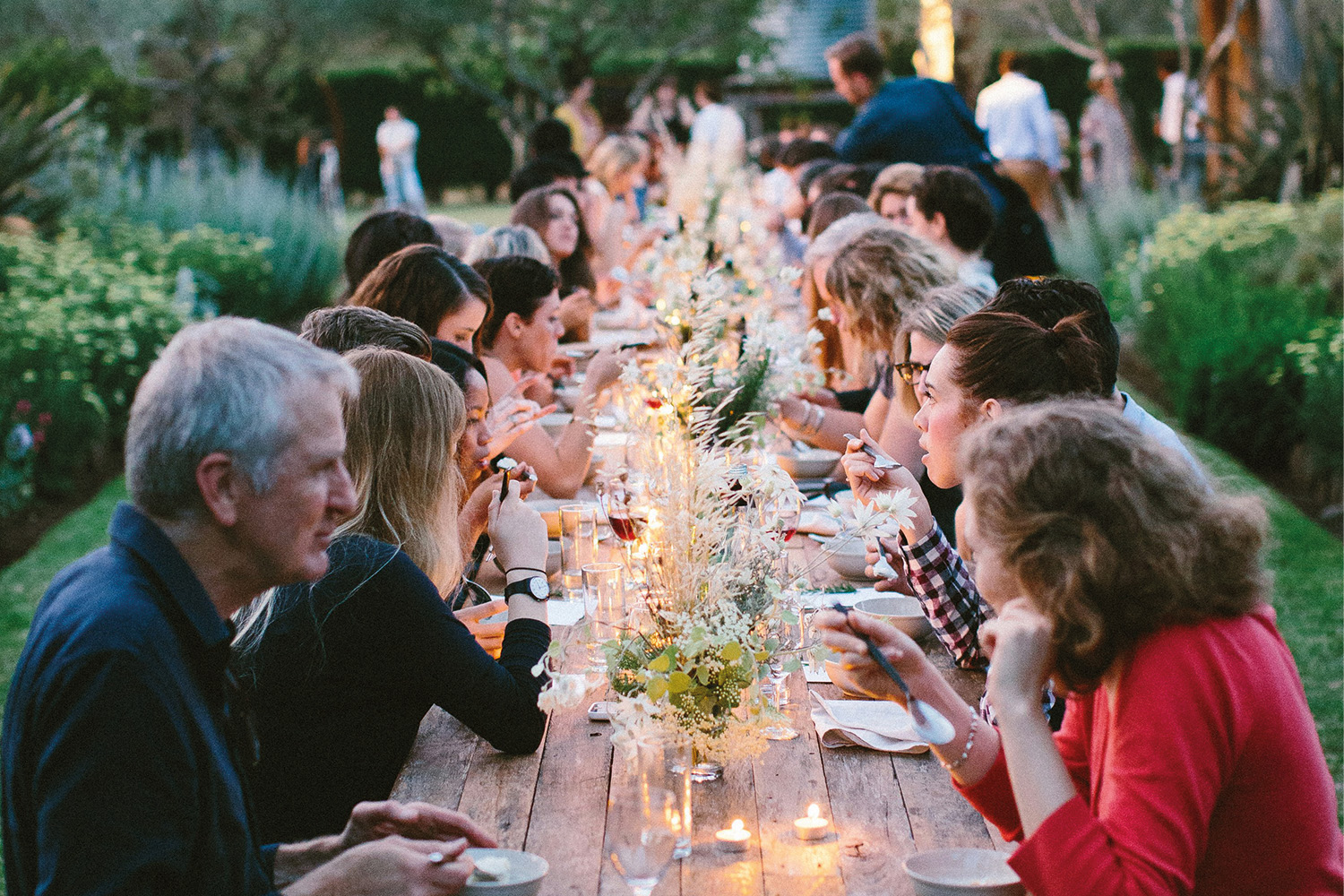 Bioweine für Tisch, Tafel und Terrasse Bioweine für Tisch, Tafel und Terrasse ; Foto von Luisa Brimble auf Unsplash