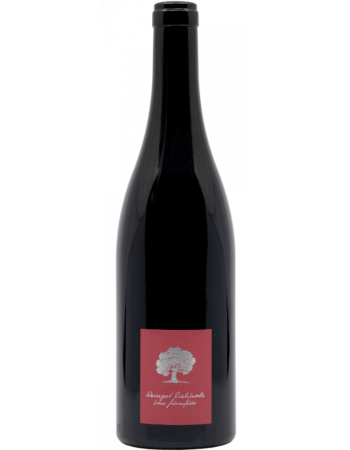 Jeninser Pinot Noir - 2025-02-25-16-29-34-6216