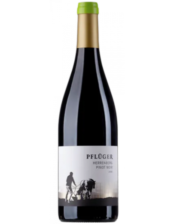 Pinot Noir Herrenberg - 2025-03-06-16-06-32-6216