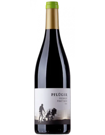 Pinot Noir Fronhof - 2025-03-07-21-04-13-6216