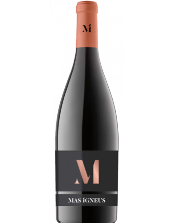 M Mas Igneus - 2025-02-25-16-02-37-6216