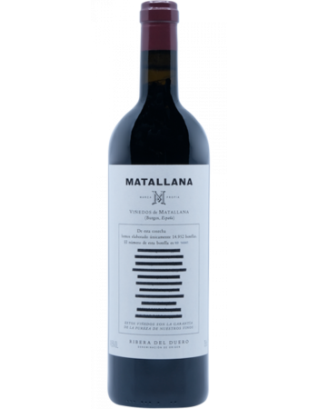 Matallana - 2025-02-27-14-54-24-6216