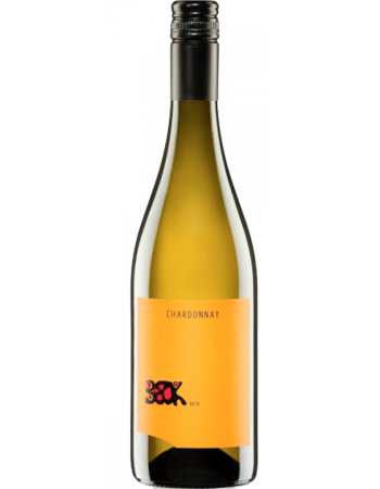 Chardonnay - 2025-03-08-09-14-43-6216