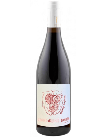 Gamay Toujours - 2026-06-10-08-16-06-6216