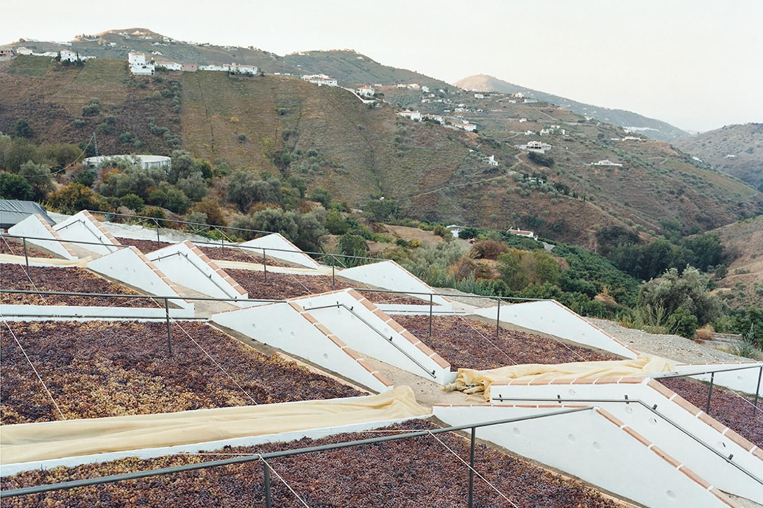 Molino Real Mountain Wine - Telmo Rodriguez