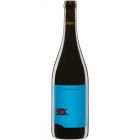 Blaufränkisch - 2025-05-23-18-42-56-6216
