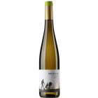 Riesling Herrenberg - 2025-03-07-21-20-09-6216