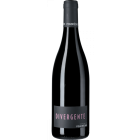 Magnum Divergente Rouge - 2025-02-25-16-36-29-6216