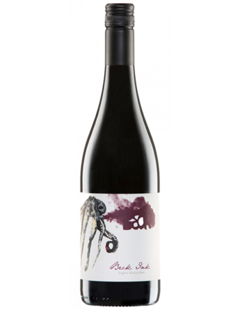 Beck Ink - 2025-03-07-22-49-18-6216