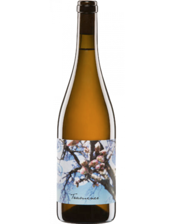 Traminer - 2025-03-08-08-27-54-6216