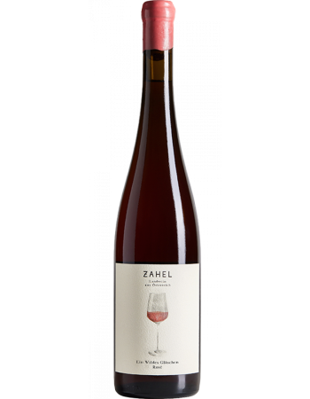 Ein Wildes Gl&auml;schen Rose - 2025-03-10-11-10-32-6216