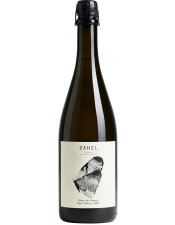 Sekt Blanc de Blanc Gemischter Satz Brut Nature - 2025-03-10-11-11-57-6216