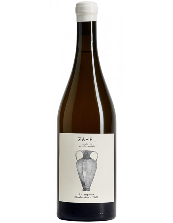 An Amphora Blaufr&auml;nkisch - 2025-03-10-11-15-49-6216