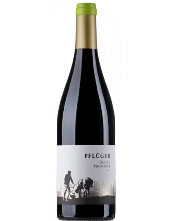 Pinot Noir &Ouml;lberg - 2025-03-06-16-05-18-6216