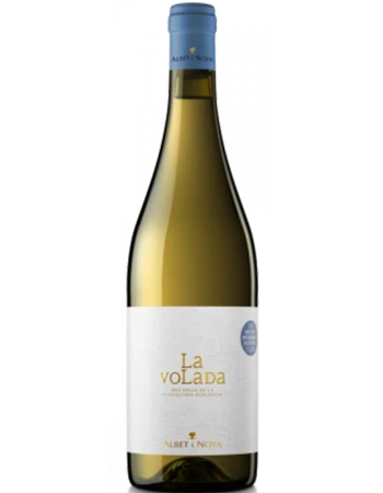 Magnum La Volada - 2025-06-30-15-37-09-6216