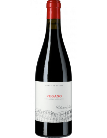 Pegaso Barrancos de Pizarra - 2025-12-08-19-02-32-6216