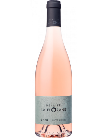 Magnum A Fleur Rose - 2025-03-10-09-46-45-6216