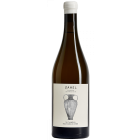 An Amphora Blaufränkisch - 2025-03-10-11-15-49-6216