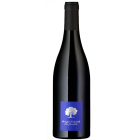Alte Reben Pinot Noir - 2025-02-25-16-29-02-6216
