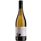 Sauvignon Blanc Quarzit - 2025-03-06-15-54-45-6216