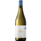 Magnum La Volada - 2025-06-30-15-37-09-6216