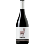 Cabirol - 2025-03-04-08-45-33-6216