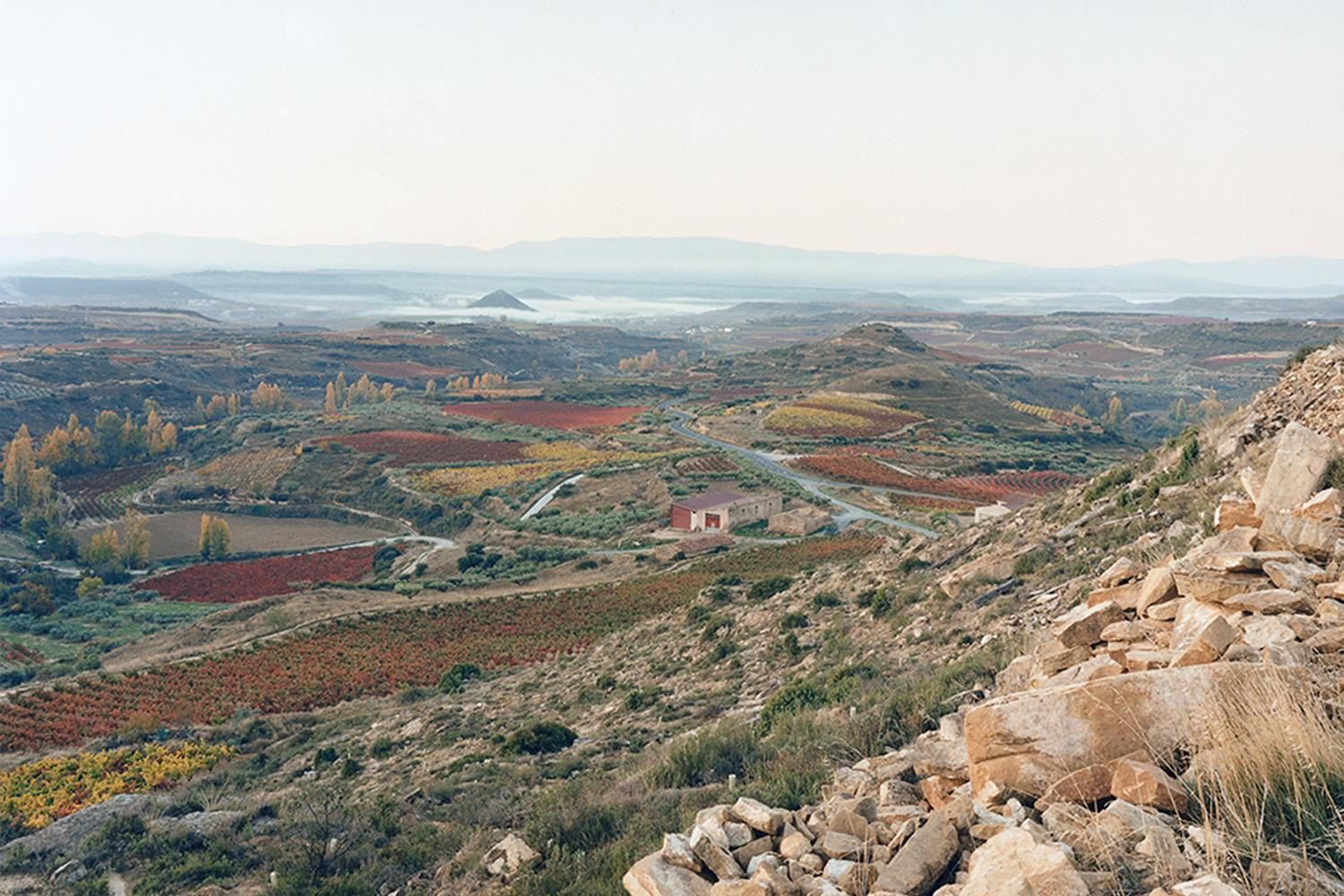 Bodega Lanzaga - Telmo Rodriguez