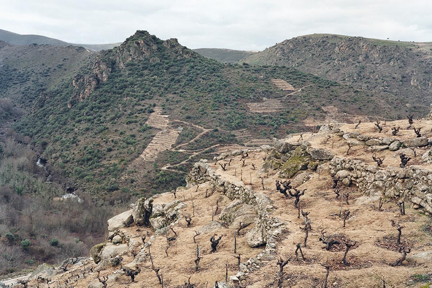Ladeiras do Xil - Telmo Rodriguez