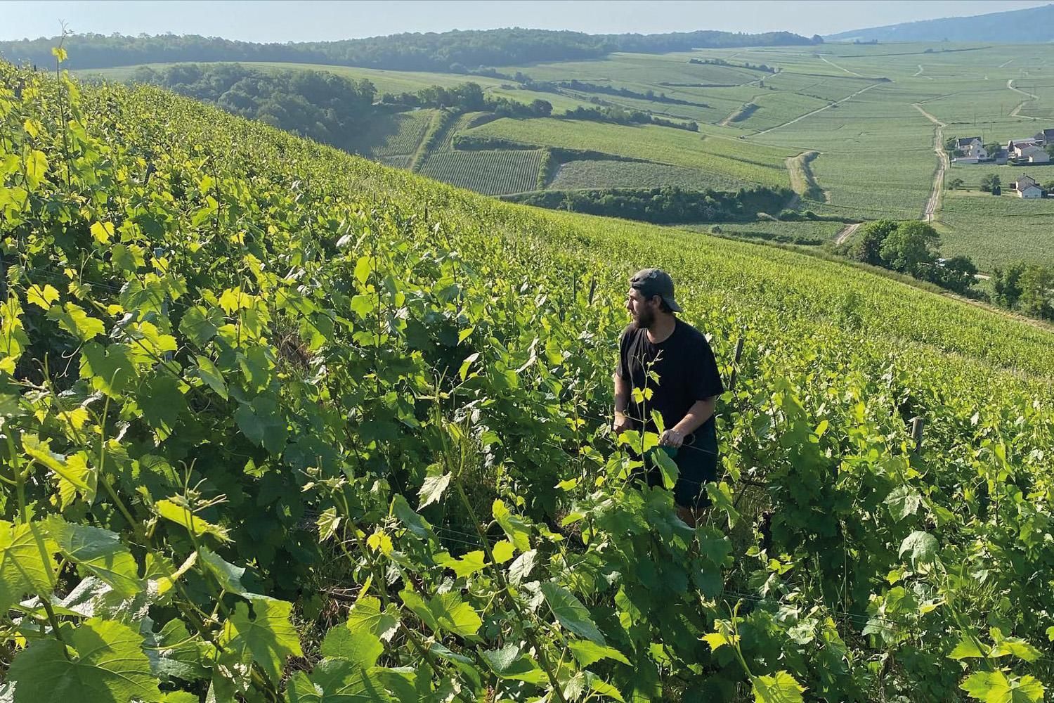 Champagne Durdon Bouval