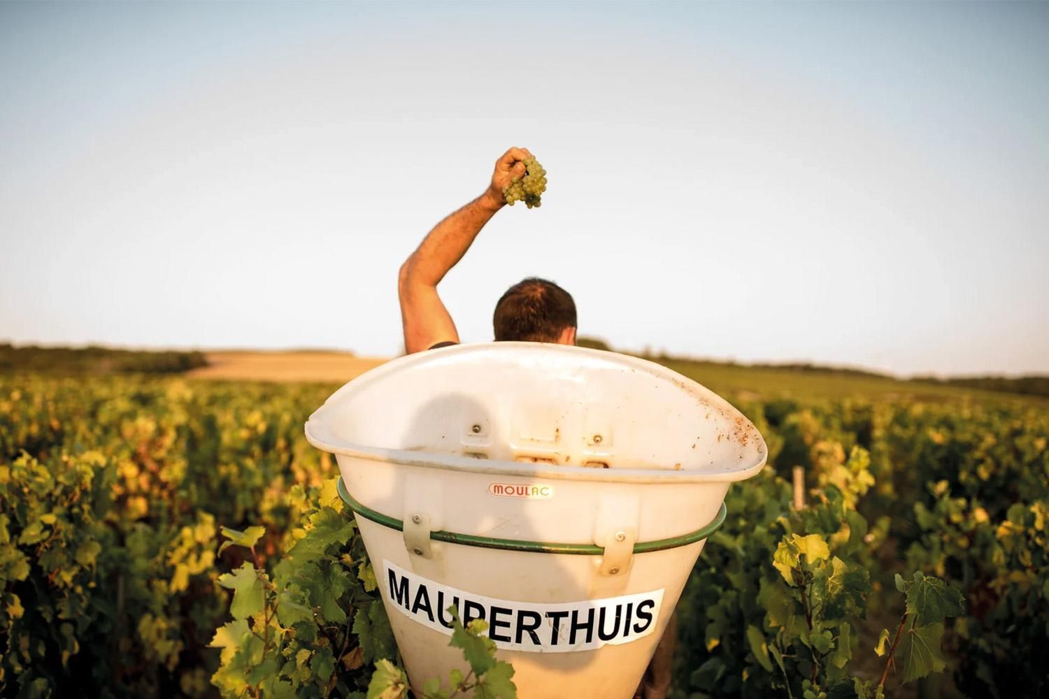 Domaine de Mauperthuis