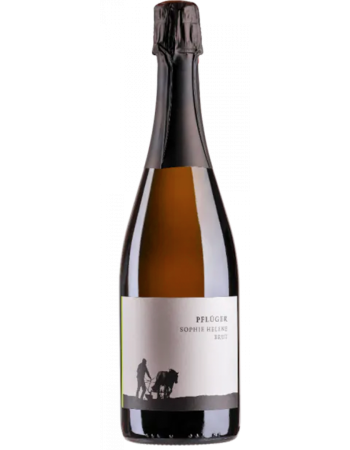 Magnum Cuvee Sophie Helene Brut - 2025-03-06-15-49-45-6216