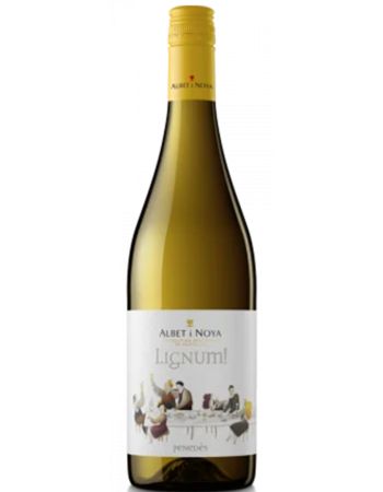 Lignum Blanc - 2025-03-04-12-24-34-6216