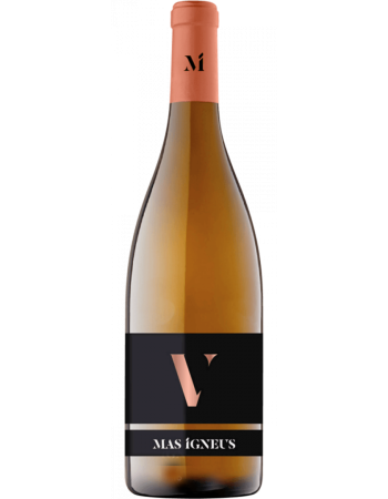 V Mas Igneus - 2025-02-28-12-25-02-6216