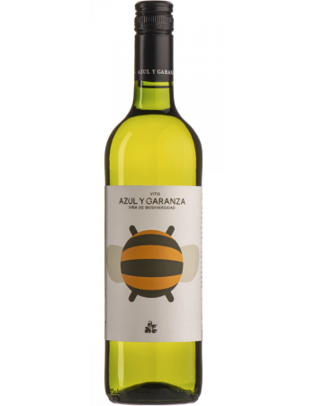 Vitis - 2025-03-04-09-25-40-6216