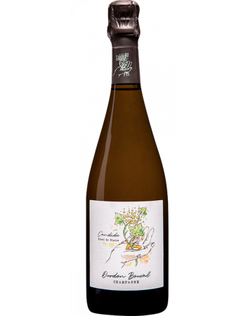 Champagne Candide Blanc de Blancs N - 2025-03-04-11-36-28-6216