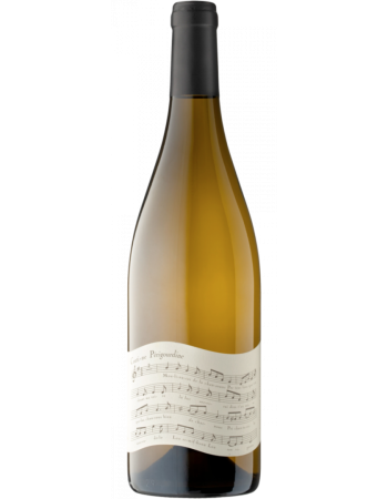 Conti-ne Périgourdine Blanc - 2025-03-06-14-16-59-6216
