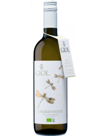 Chardonnay Senza Solfiti - 2025-02-25-17-05-27-6216