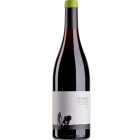 Pinot Noir Tradition - 2026-06-08-08-14-45-6216