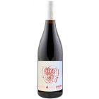 Gamay Toujours - 2026-06-10-08-16-06-6216