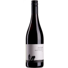 Pinot Noir Buntsandstein 6er Paket - 2026-08-04-16-48-36-6216