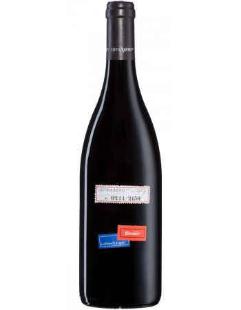 Leithaberg Rot - 2025-02-08-11-01-49-6216