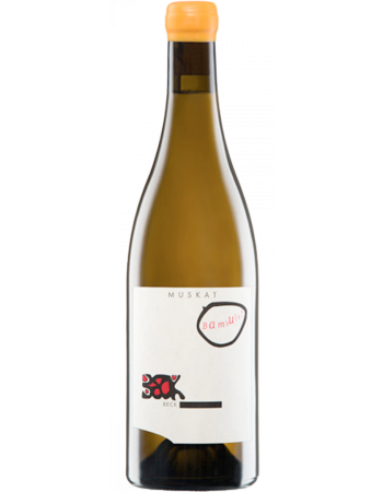 Muskat Bambule - 2025-03-07-22-53-07-6216