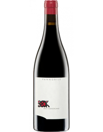 Pannobile - 2025-03-08-08-28-07-6216