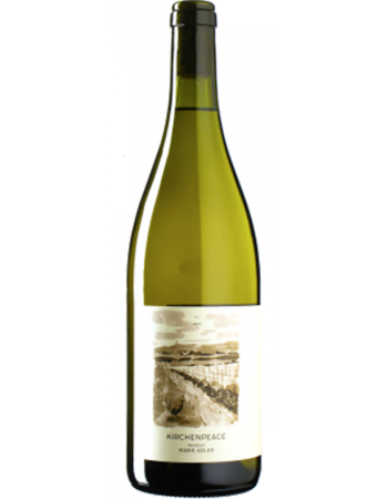 Riesling Kirchenpeace - 2025-03-06-16-01-35-6216