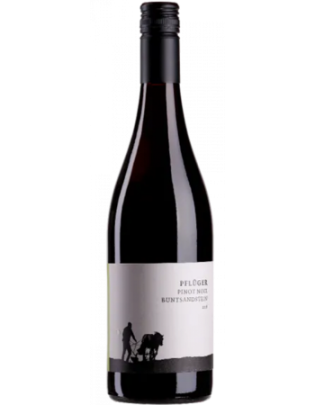 Pinot Noir Buntsandstein - 2025-03-06-16-02-57-6216