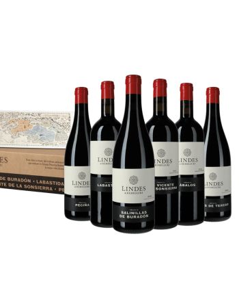 Remelluri Lindes Collectors case - 2025-03-01-09-58-05-6216