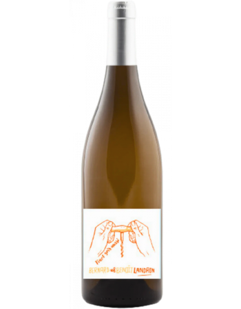 Pinot Gris aussi - 2025-03-08-13-47-25-6216