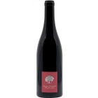 Jeninser Pinot Noir - 2025-02-25-16-29-34-6216