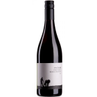 Pinot Noir Buntsandstein - 2025-03-06-16-02-57-6216