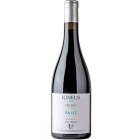 FA 112 - 2025-02-25-16-03-15-6216